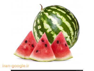 فروش هندوانه صادراتی